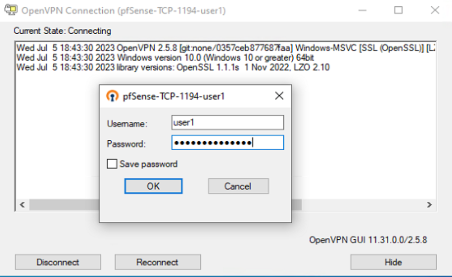 Authentication Testing in OpenVPN